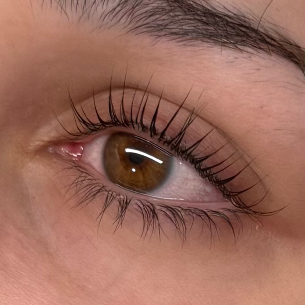 Korean Lift + Tint at Lash Doll in Westbrook, ME