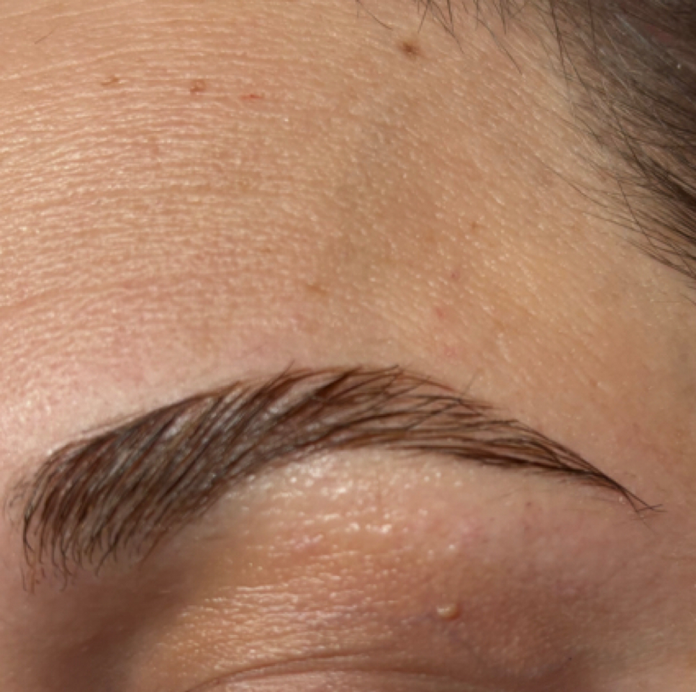Brow Lamination, Wax, + Tint at Verdadera Beauty in Thornton, CO