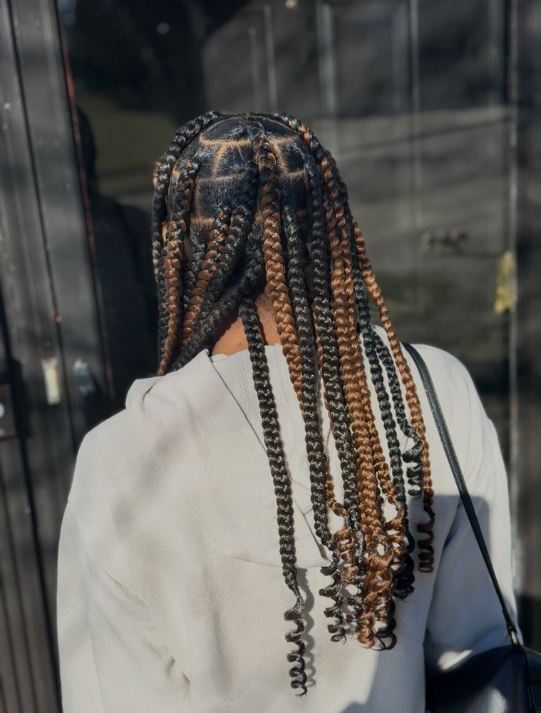 Large Knotless at Stylesbyleaisa in Havelock, NC