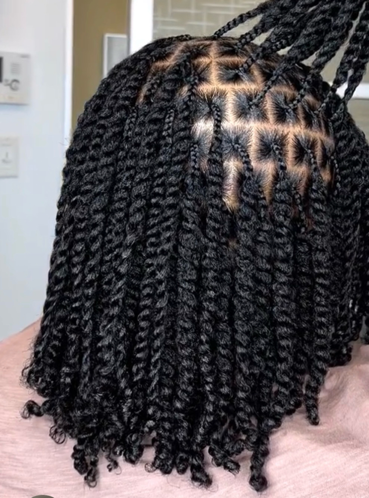Small Two-strand Twist at LBZ Hair Company in Pelham, AL