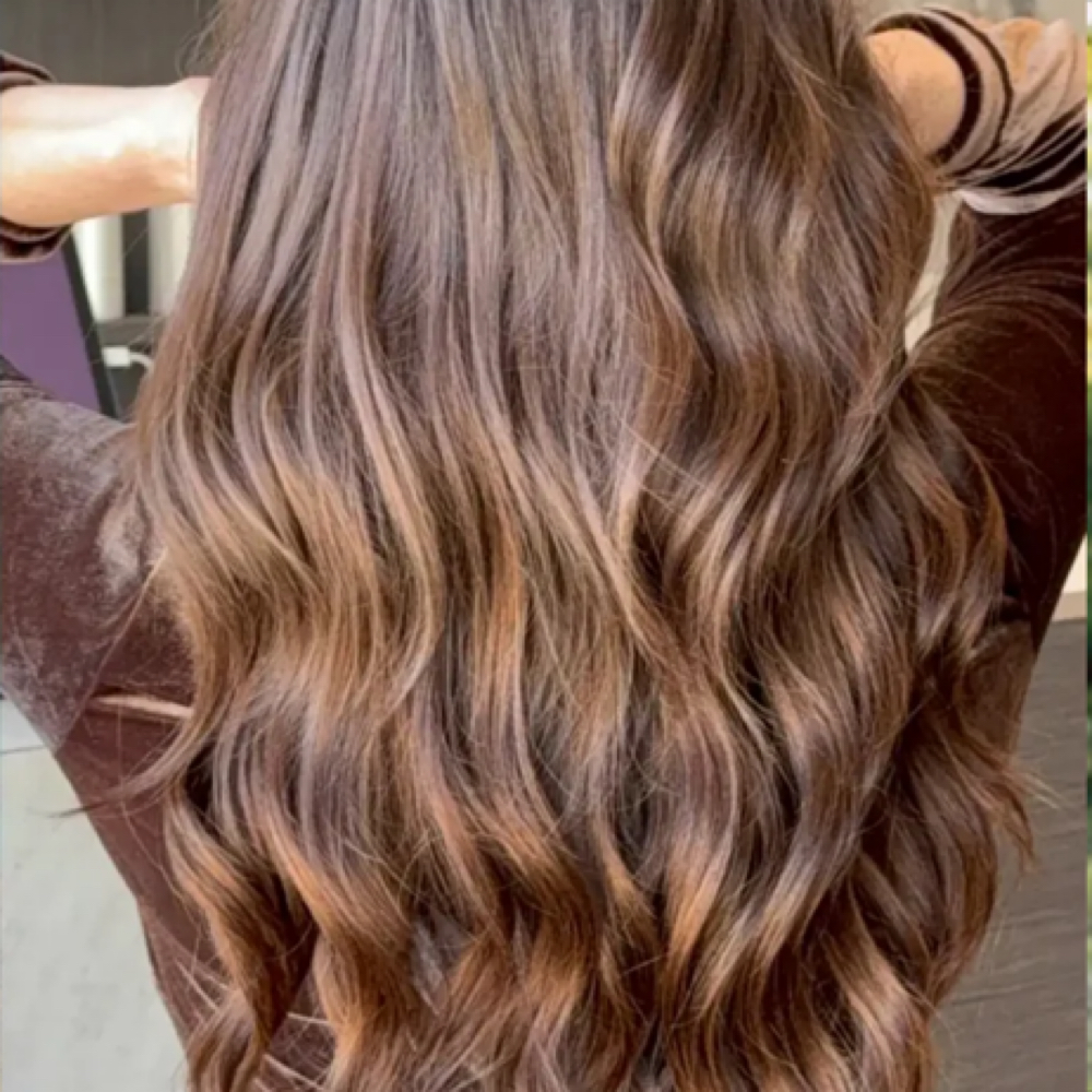 Light Edition Volume Only at Lushlocksxo in Houston, TX