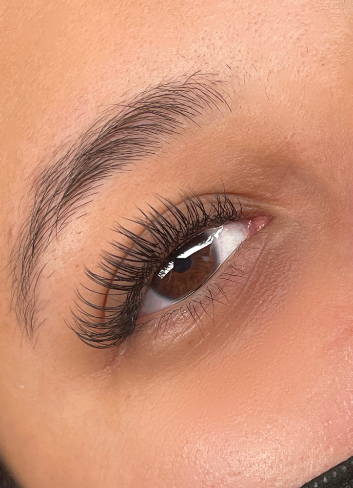 Classic Lashes
