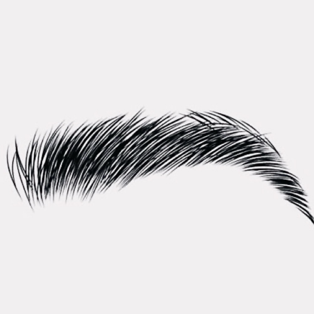 Brow Wax at Talking Heads Salon in Audubon, PA