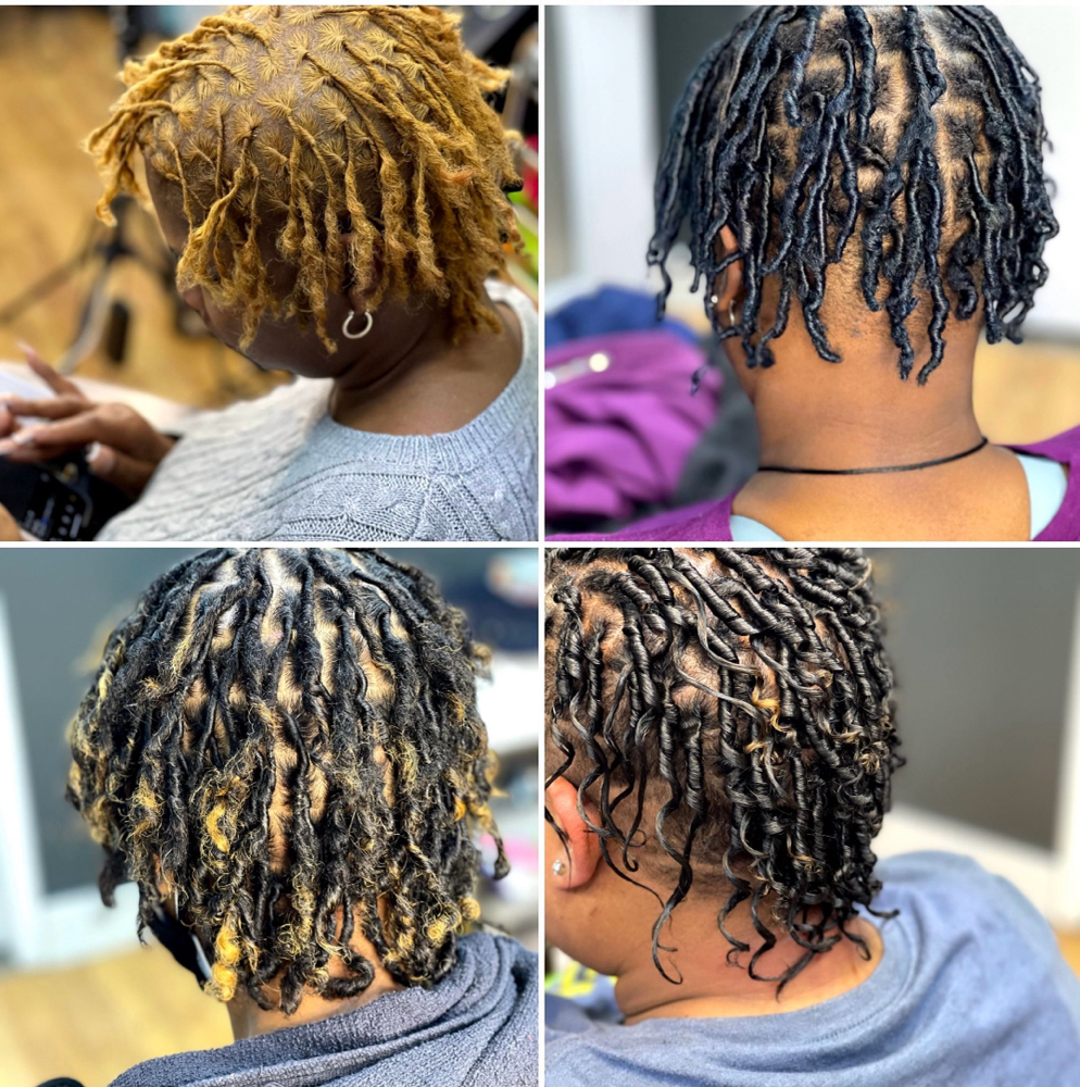 Starter Locs