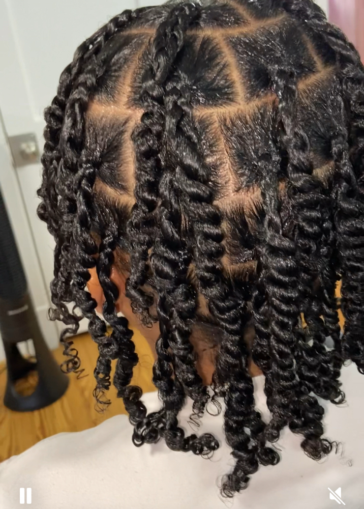 Two Strand Twists