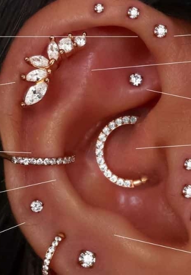 Tragus/Daith/Conch/Rook/Fwd Helix