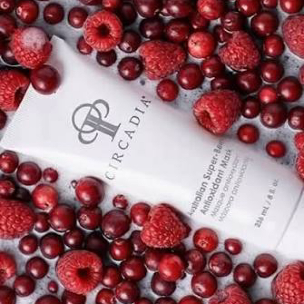 Berries & Bubbly Facial at Crystal Skin Studio in Orange, CA