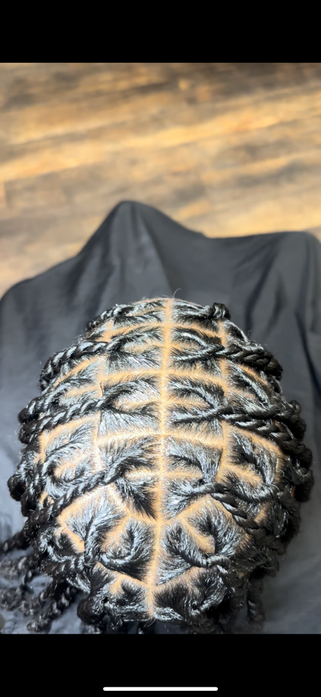 Invisible 2 Strand Twist