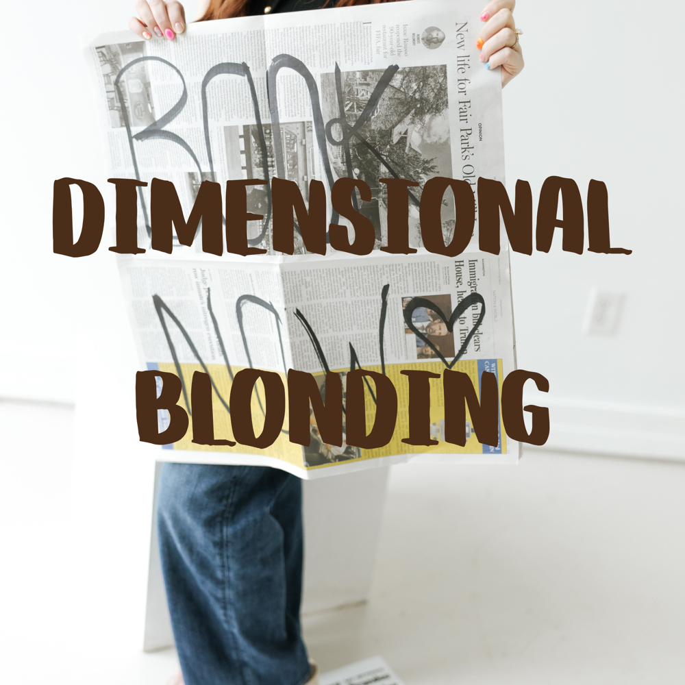Dimensional Blonding at Hair By Brandee in Tx, TX