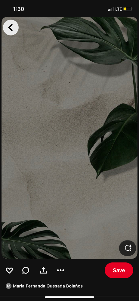 Test Strand + Consultation