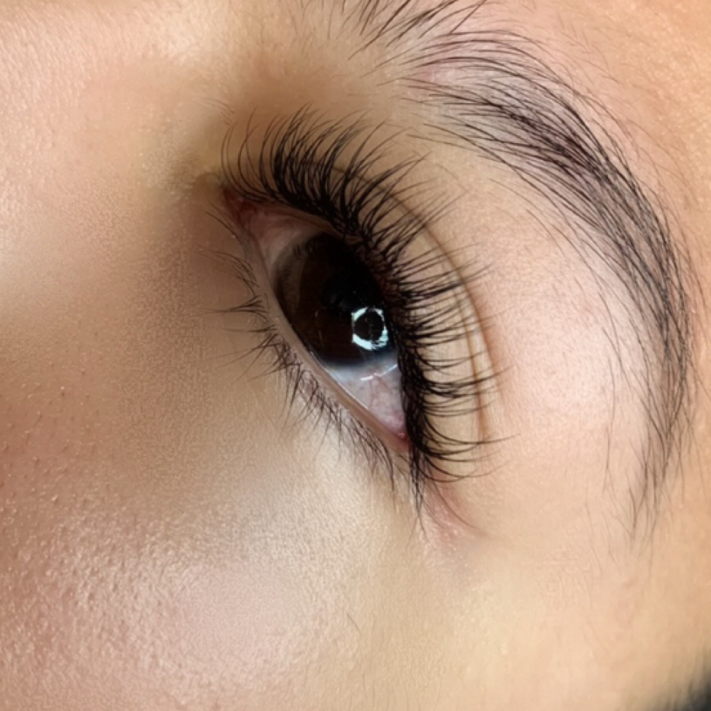 CLASSIC LASH FILL at PRETTY on Purpose Beauty Co. in Roanoke, VA