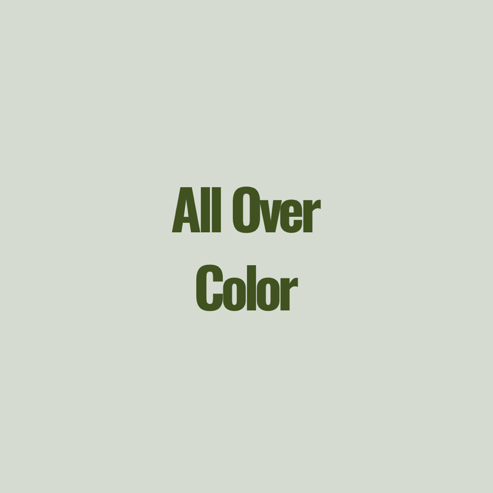 All Over Color at Center Street Studio in Sebewaing, MI