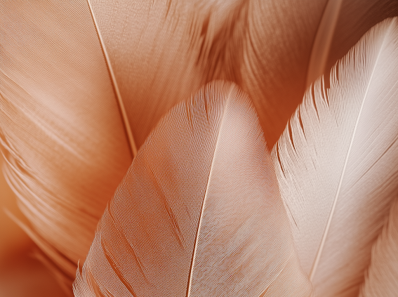 Extension Installation at Eye Candy Hair Co. in Estero, FL