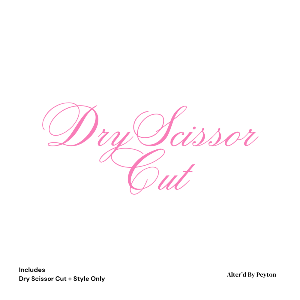 Dry Scissor Cut + Style