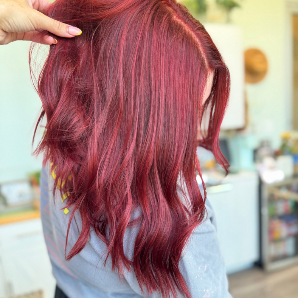 SIGNATURE BLOWOUT at Wild Bloom Hair Studio in Wyomissing, PA