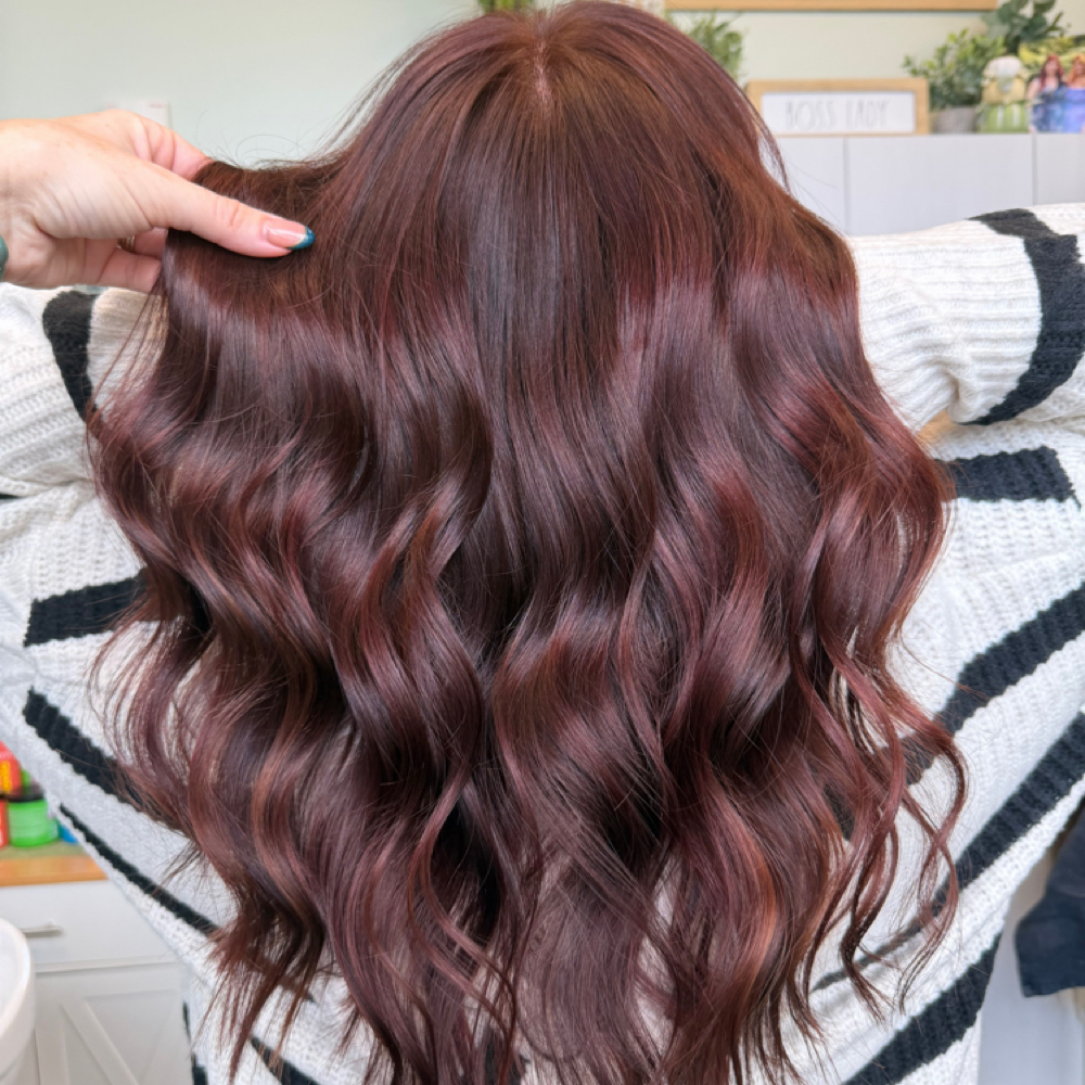 SIGNATURE BLOWOUT at Wild Bloom Hair Studio in Wyomissing, PA