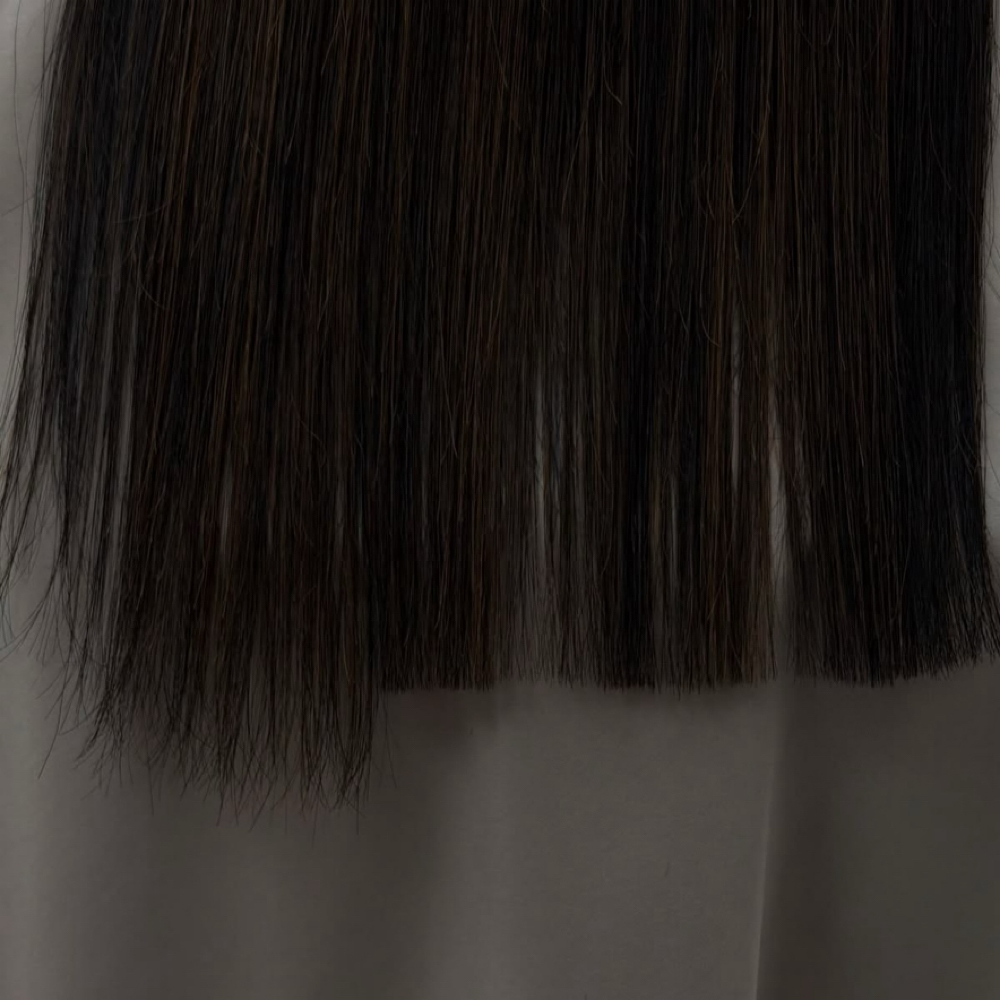 Haircut & No Style (wet or dry) at Indy & Bo Hair Co. in Spotsylvania Courthouse, VA