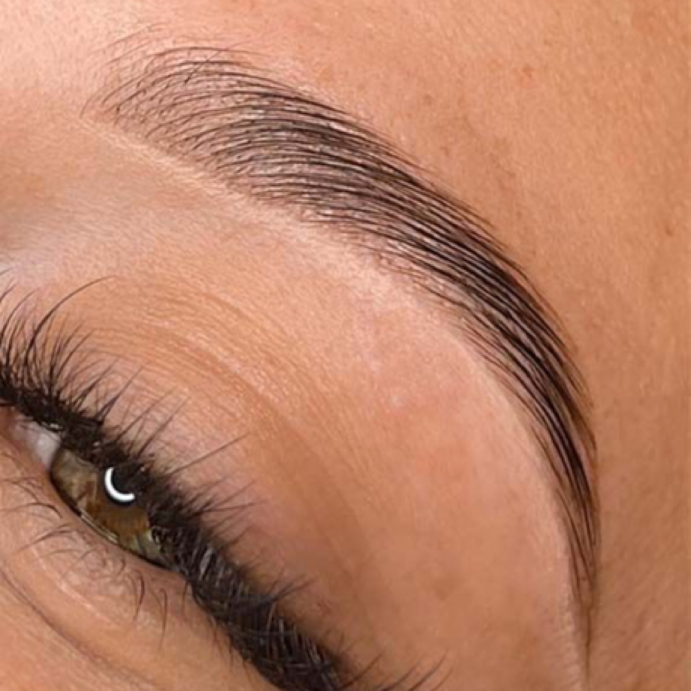 Brow Lamination & Tint at Bandit Beauty Co. in Paso Robles, CA