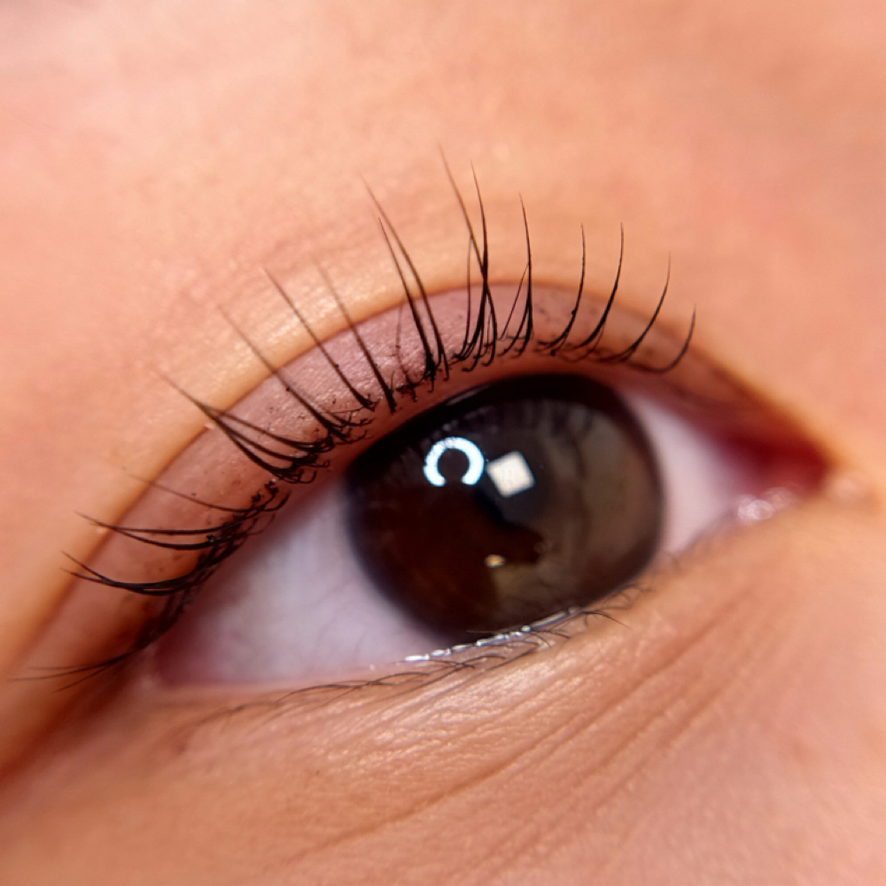 Korean Lash Lift at V lash and beauty co. in Bondurant, IA