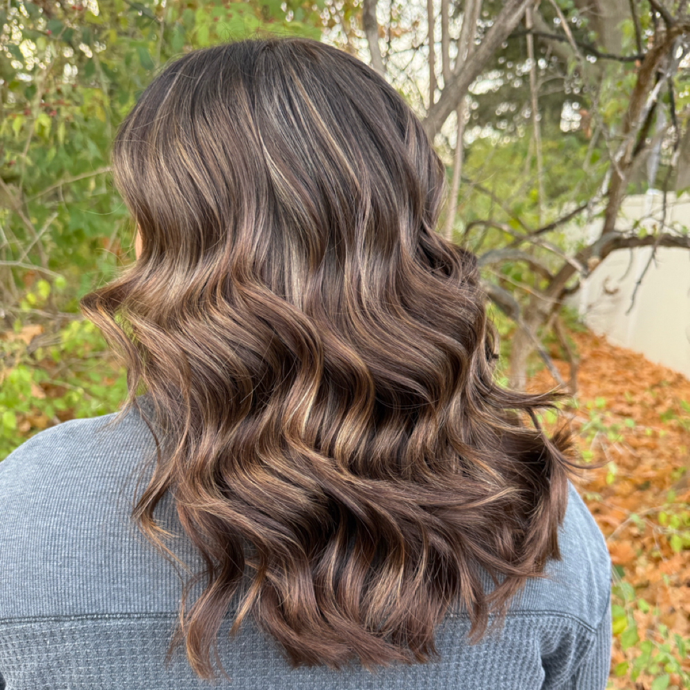 Highlights at Hair with Ceci in Okemos, MI