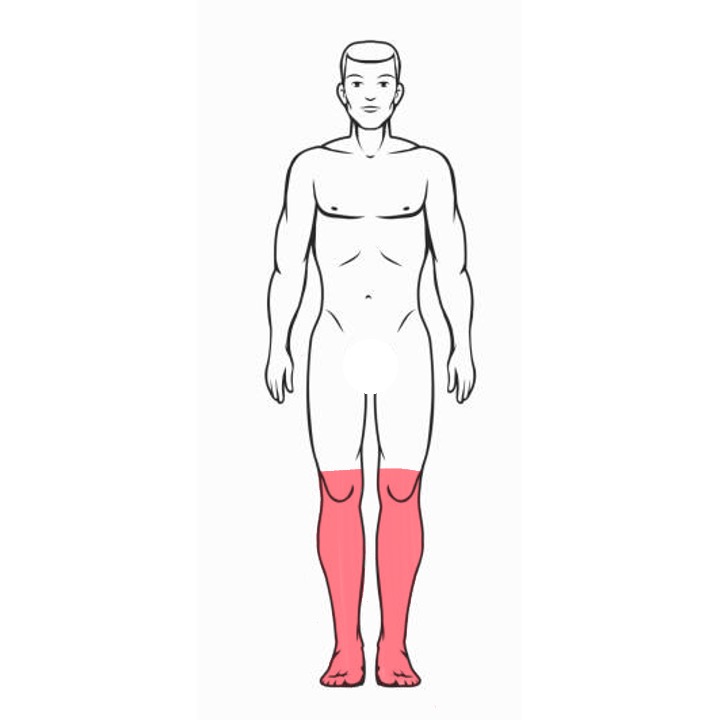 1/2 Legs