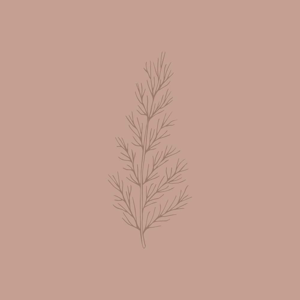 Cedar Facial | Luxe