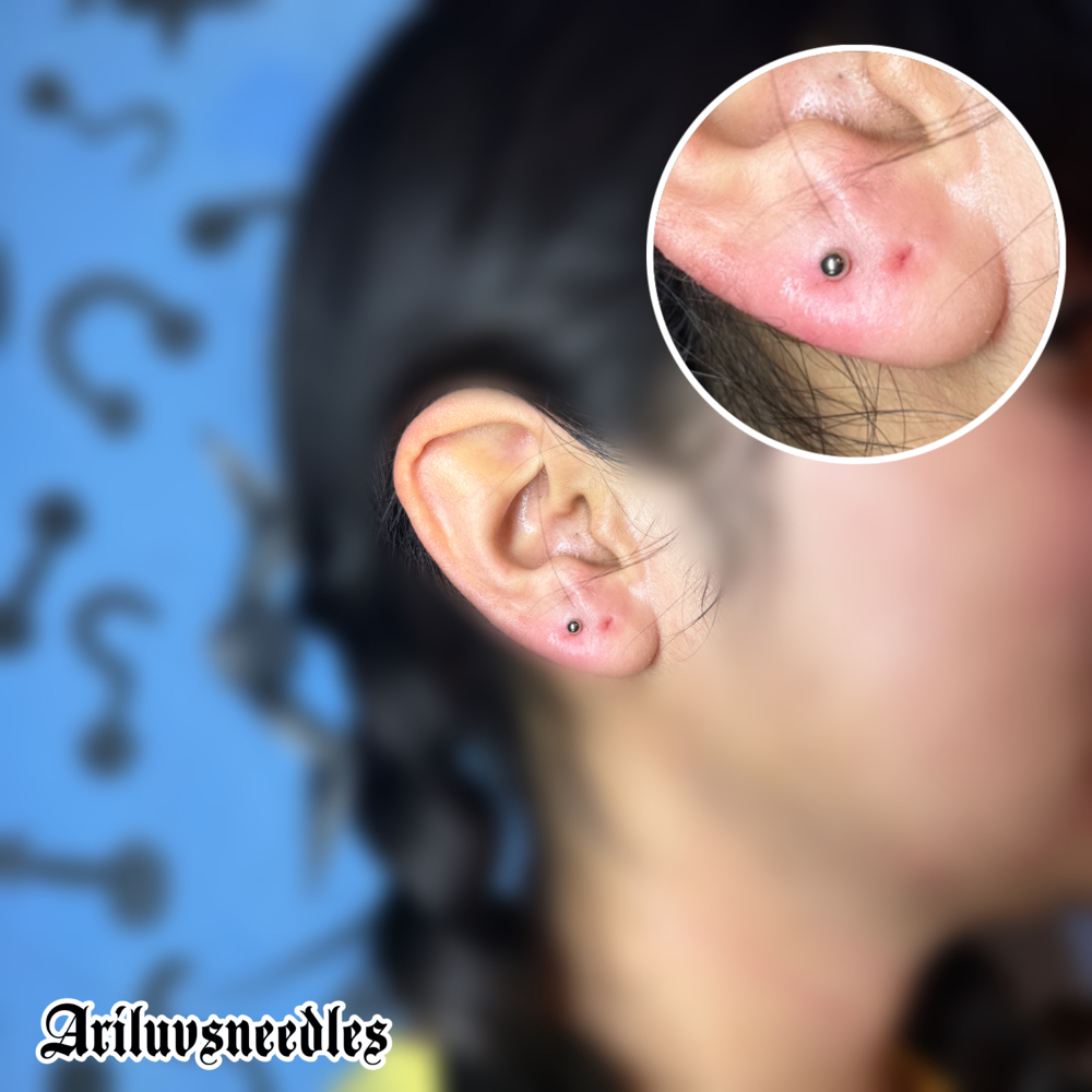Lobe (single)