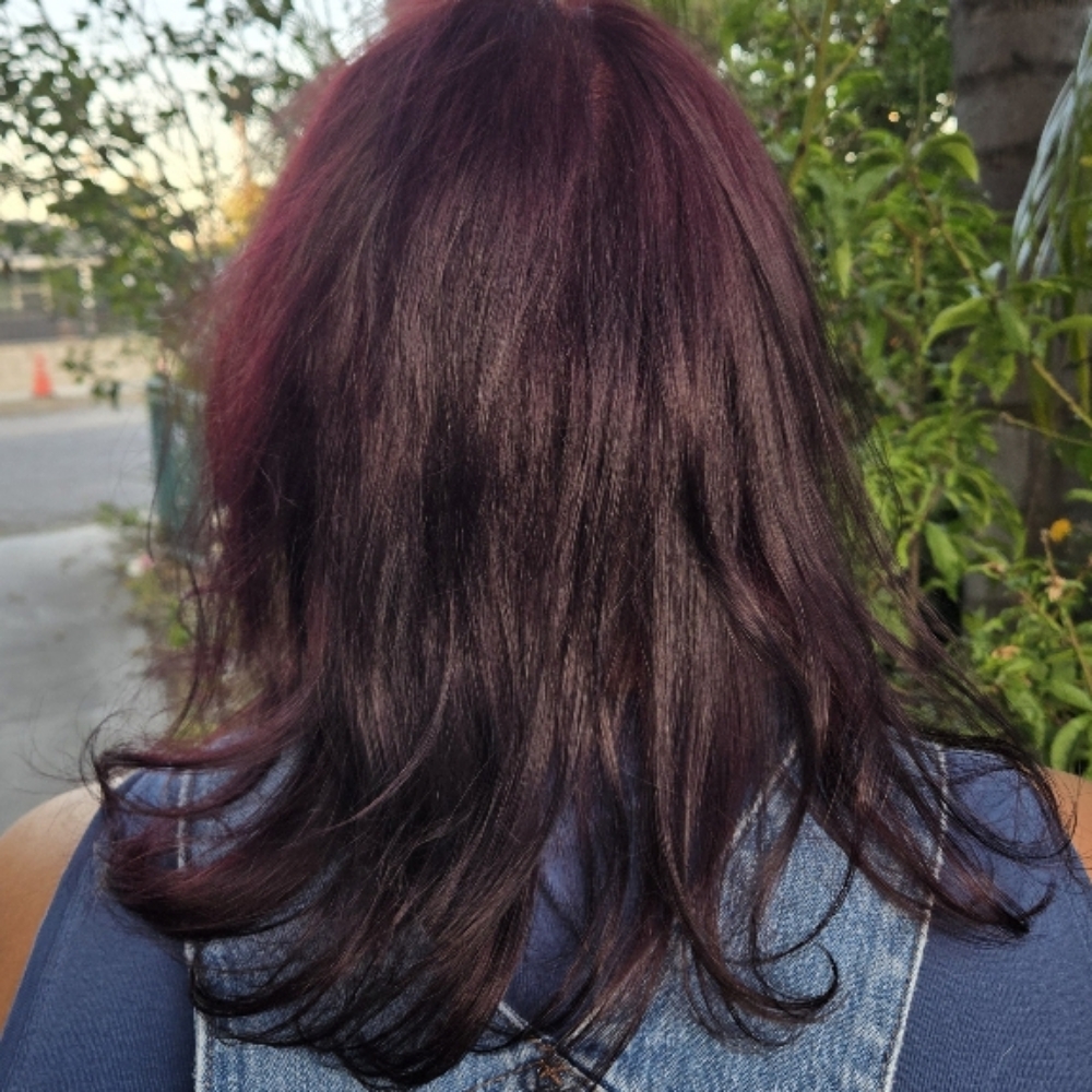 Single Solid Color at Vida en Color Beauty in Upland, CA