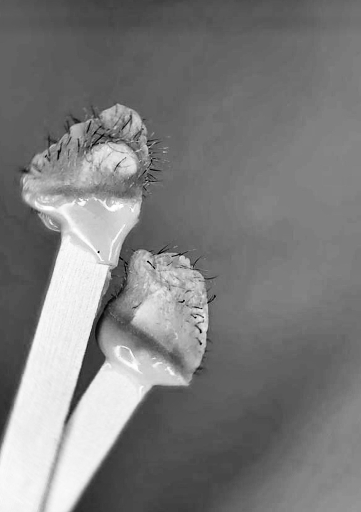 NOSE WAX