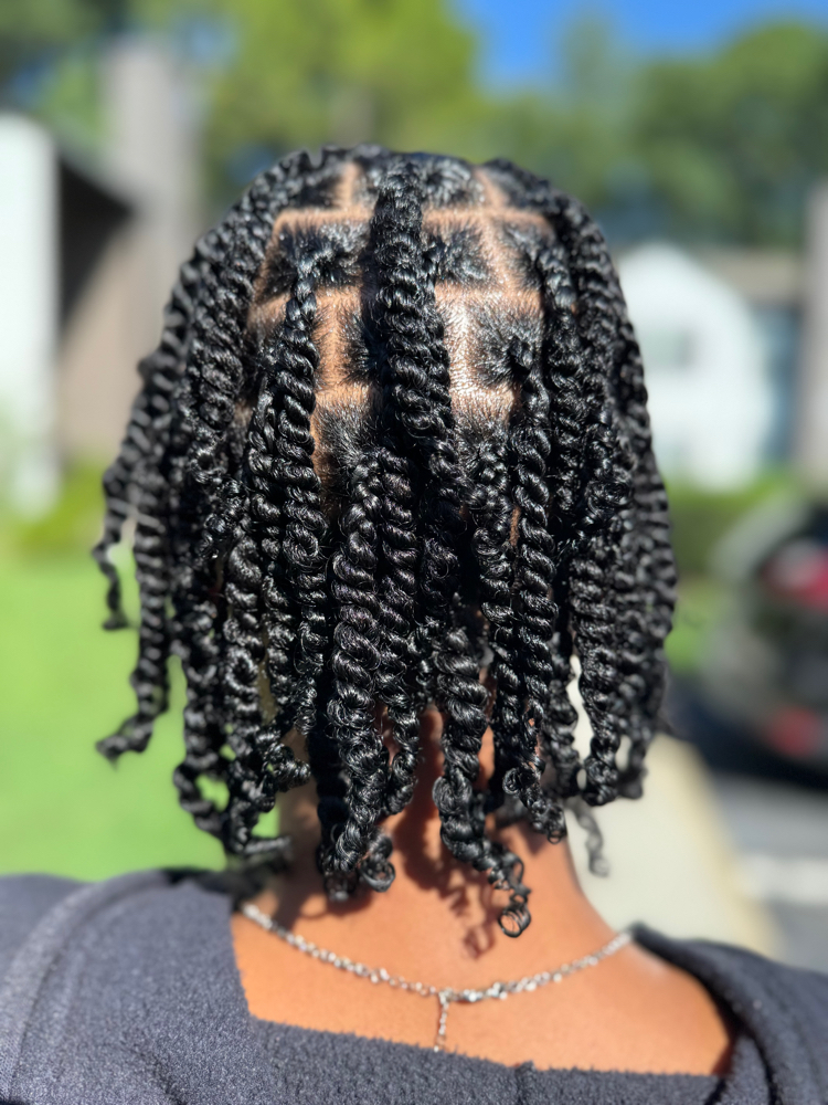 Twist Set (Natural Hair)