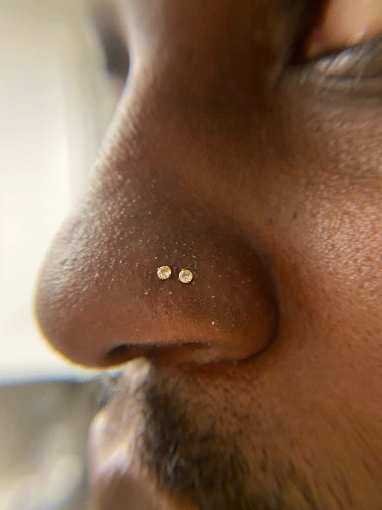 Nostril-2(Jewelry not included)