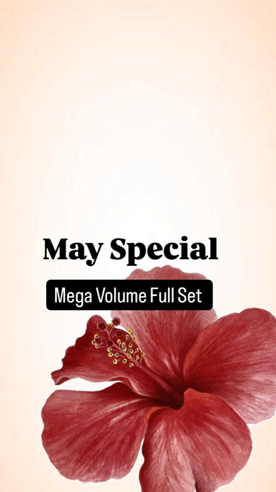 Mega Volume Set (May Special🌼)