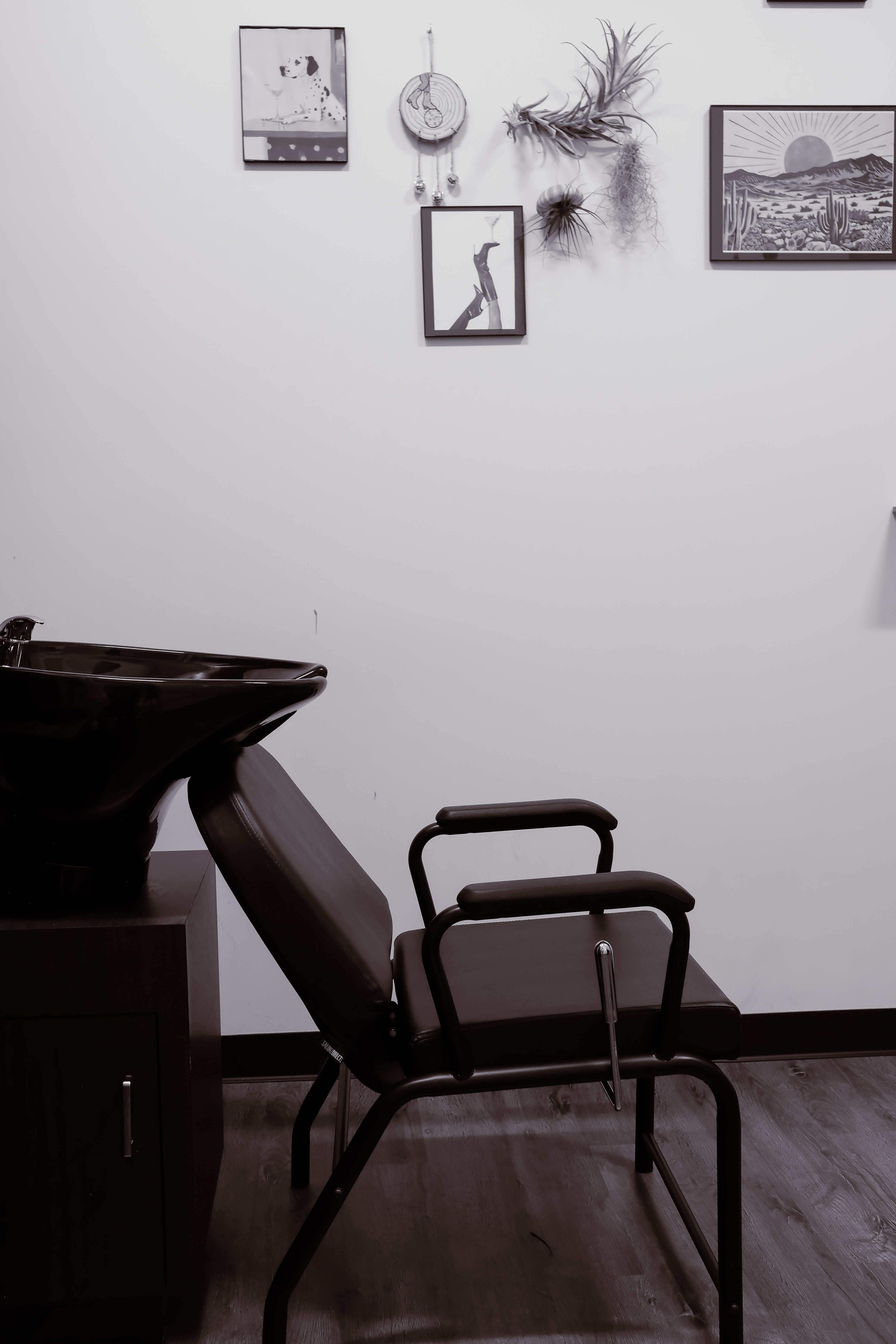 Vivid Hair Color Consultation