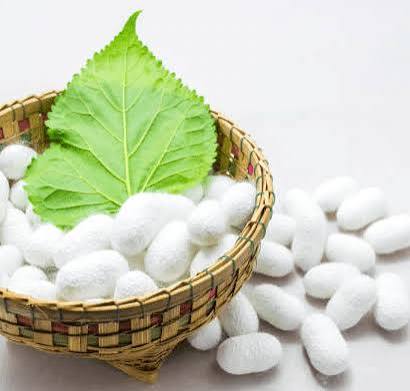 Anti-Aging PEPTIDE FACIAL