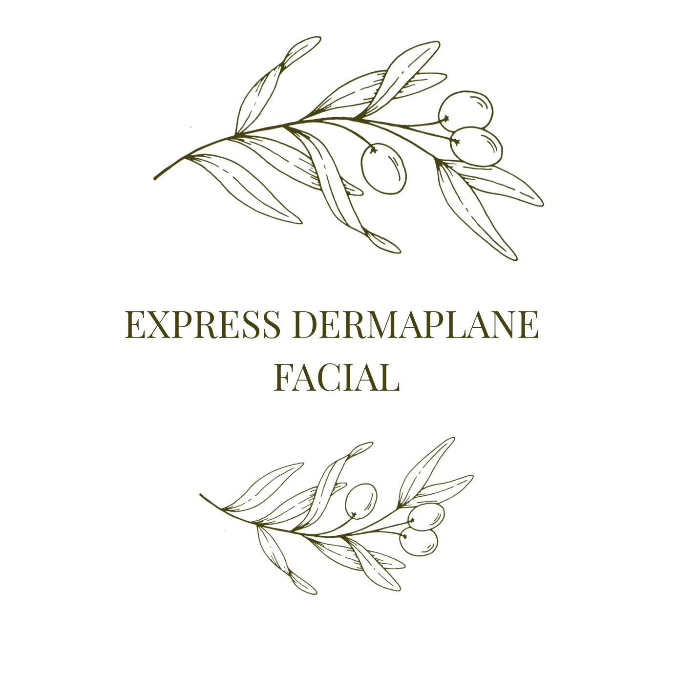 Express Dermaplane Facial at Olive Branch Skin Co in Cincinnati, OH