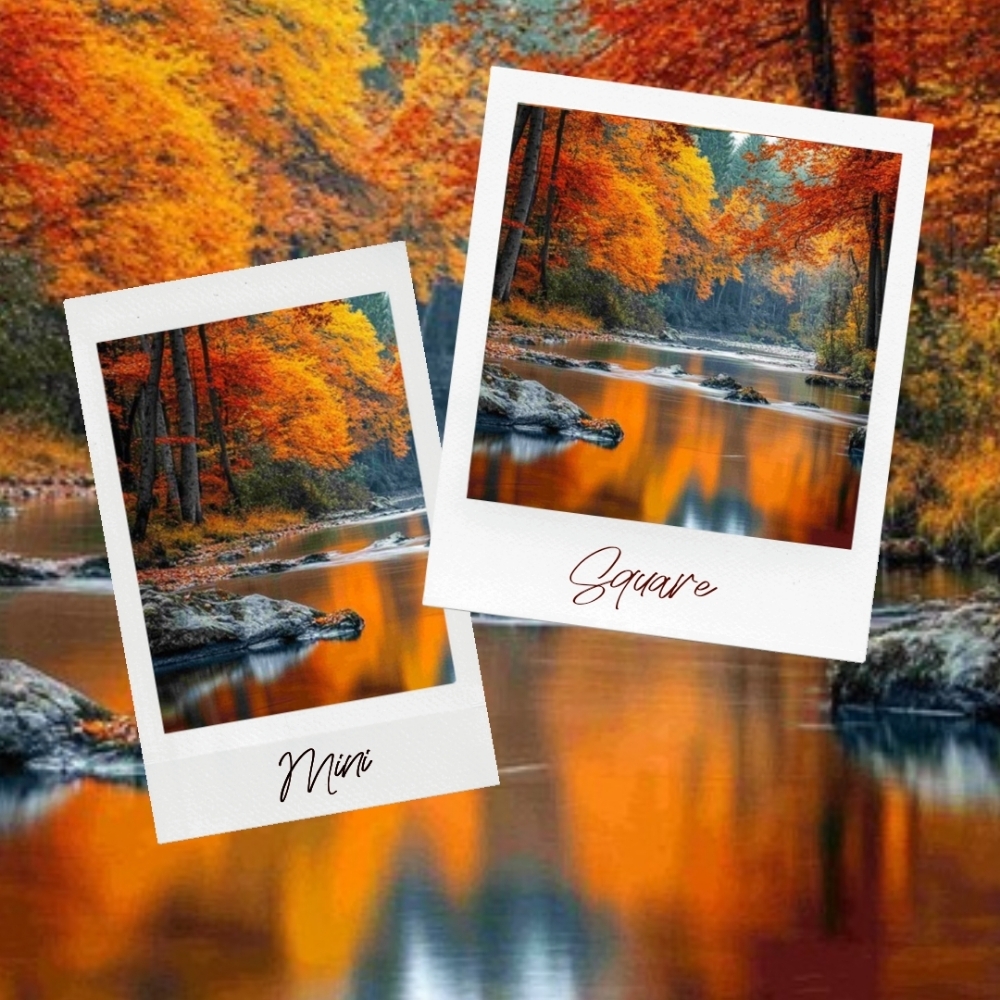 Fall Snapshots at Spectrum Ink Tattoo Studio in Mount Vernon, WA