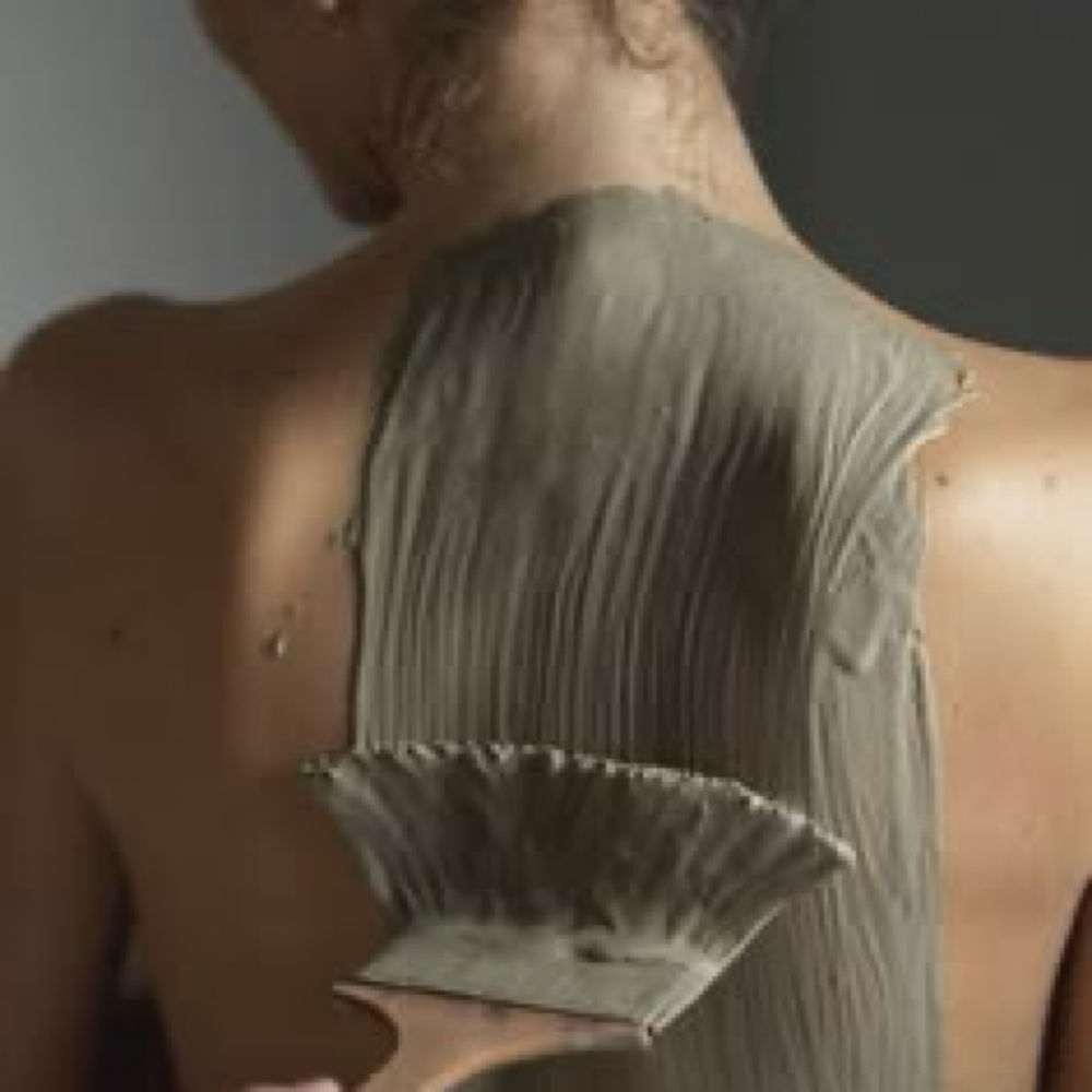 Back Facial at Iris Organic Spa in Dunedin, FL