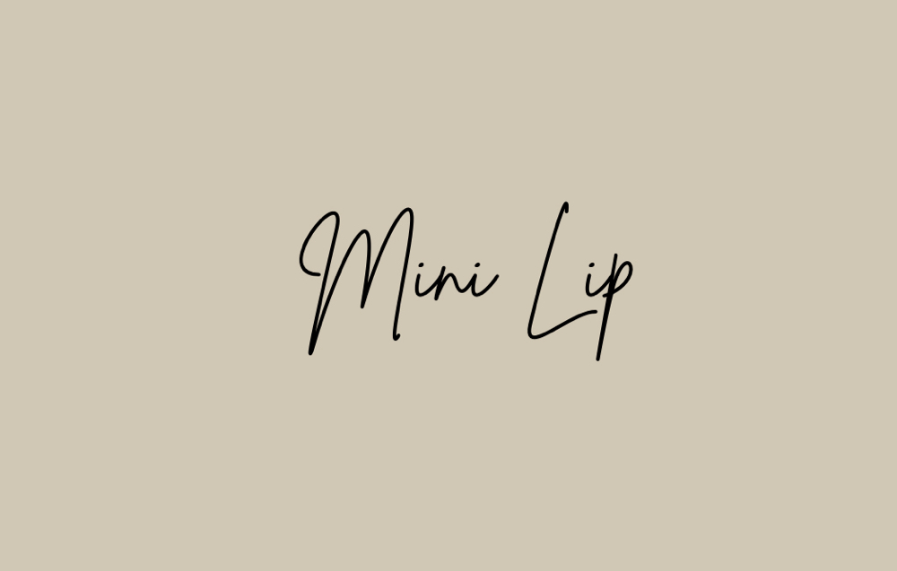 Mini Lip PLUMP