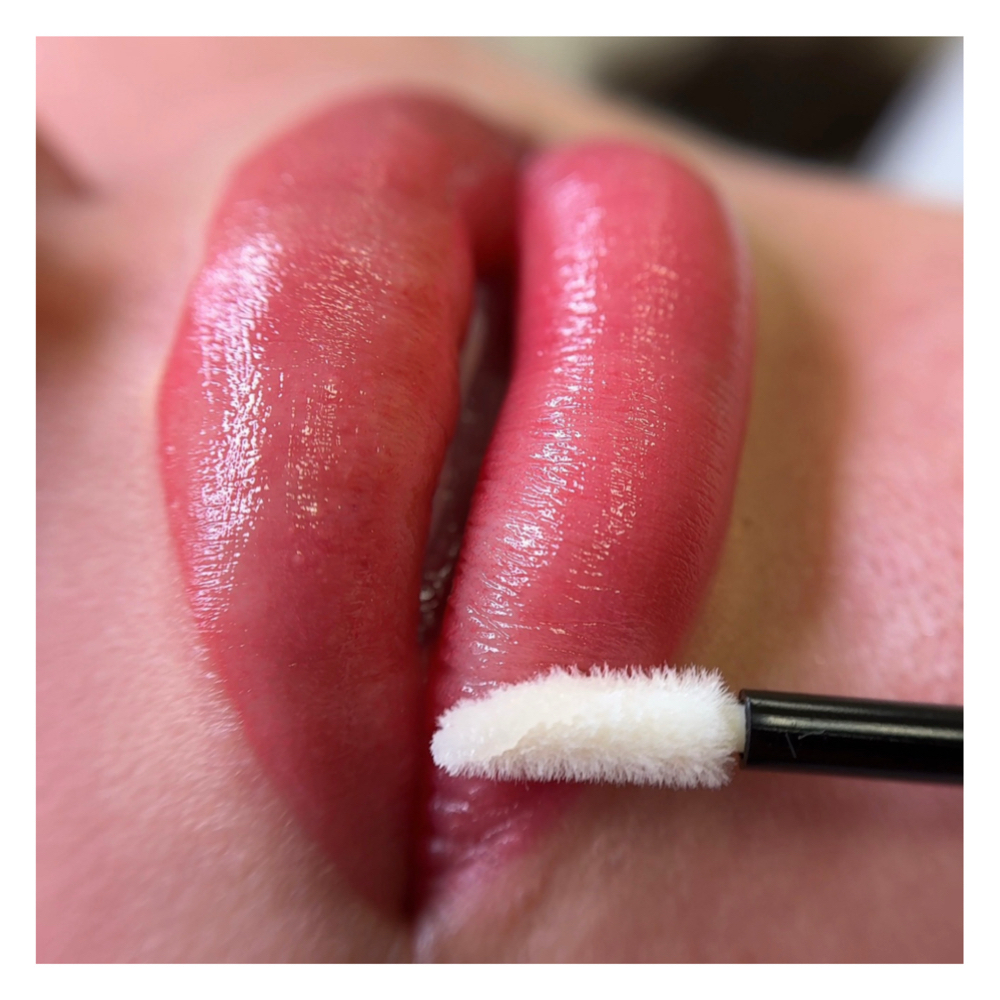LIP TOUCH UP at Vanka Beauty in The Woodlands, TX