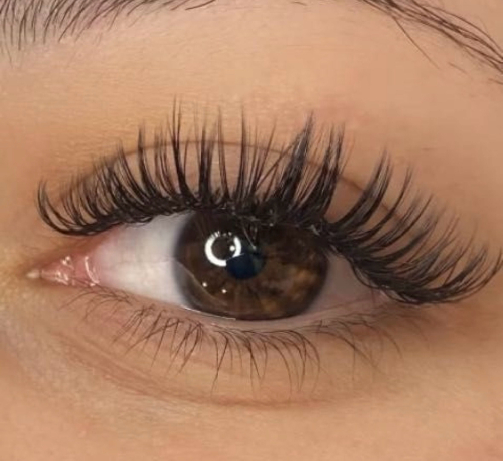 Wet Lash Full Set