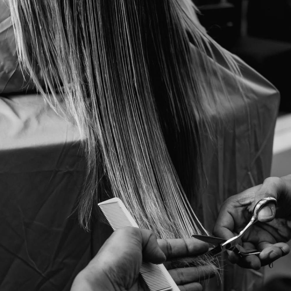 Haircut at PMTS in Farmington Hills, MI