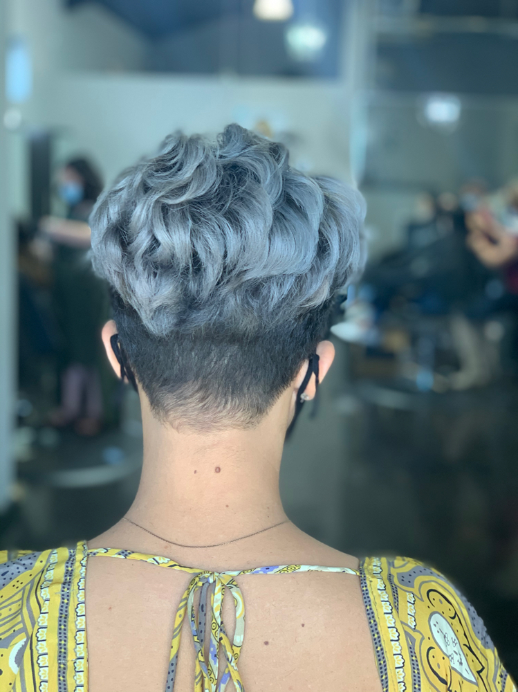 Clipper/Short Cut