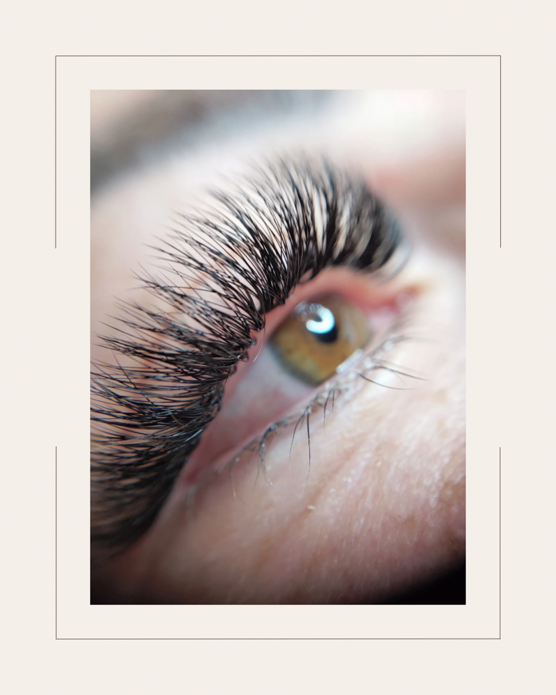 Full Set VOLUME Lashes