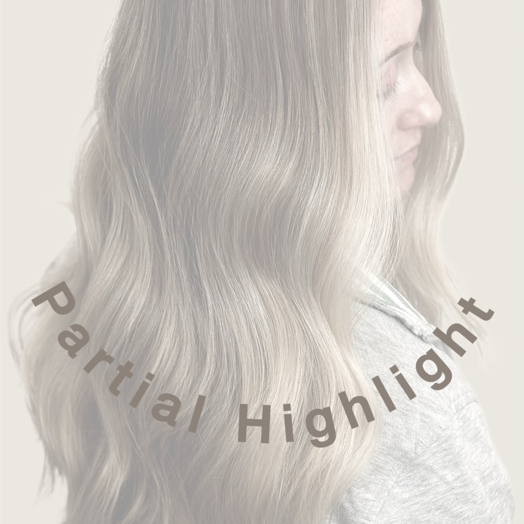 Partial Highlight at Shear Color LLC in Palmer, AK