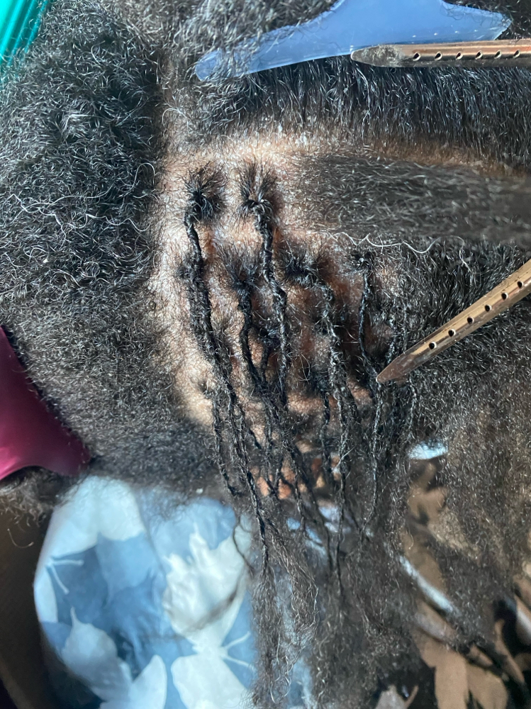 New Locs at Febe Foils & Flex in Colorado Springs, CO