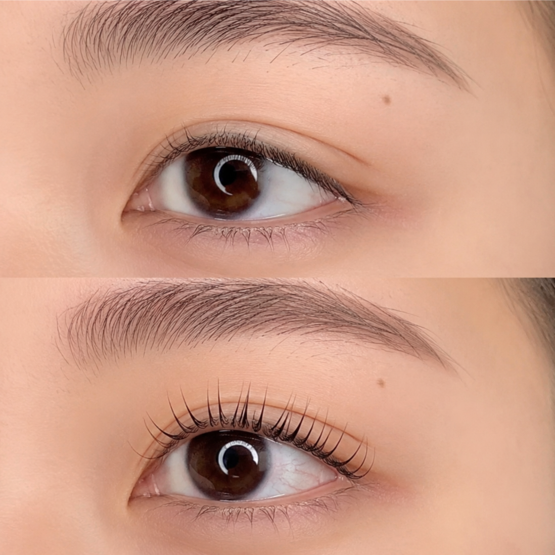 Korean Lash Lift & Tint at Serene Skin byWansada in Matthews, NC