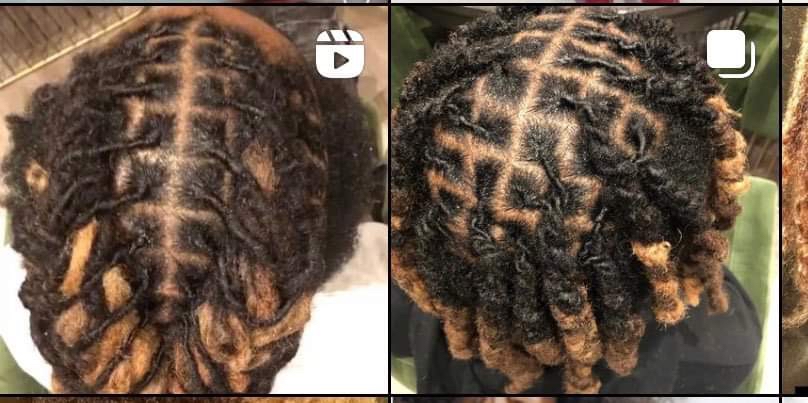 Palm Roll Loc Maintenance