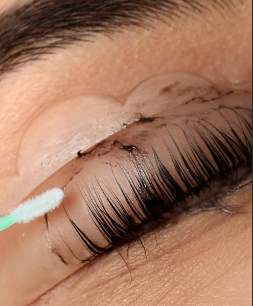 Lash Tint Only