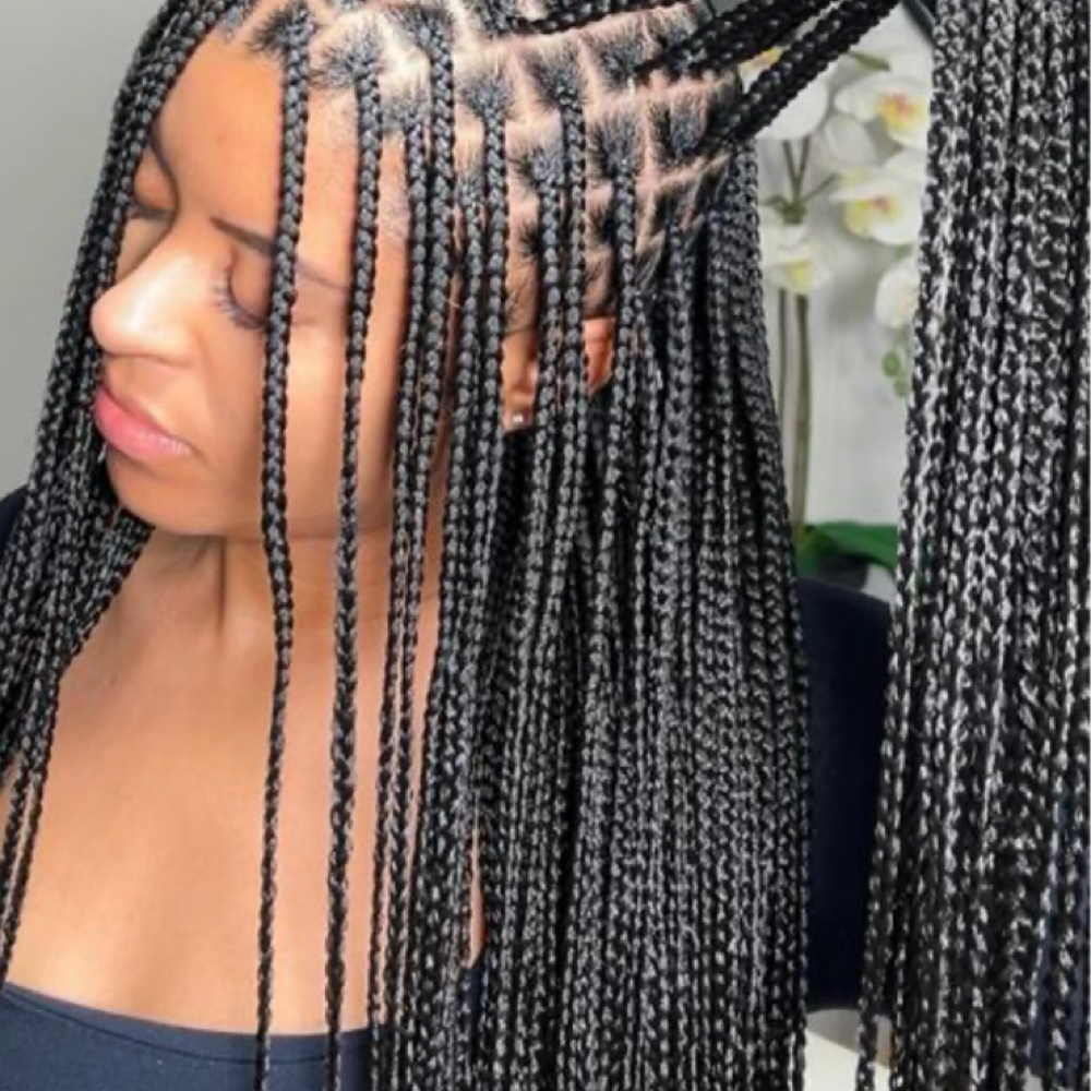Knotless Braids (Shoulder Length) at Natural Locs and Braids in Columbia, SC