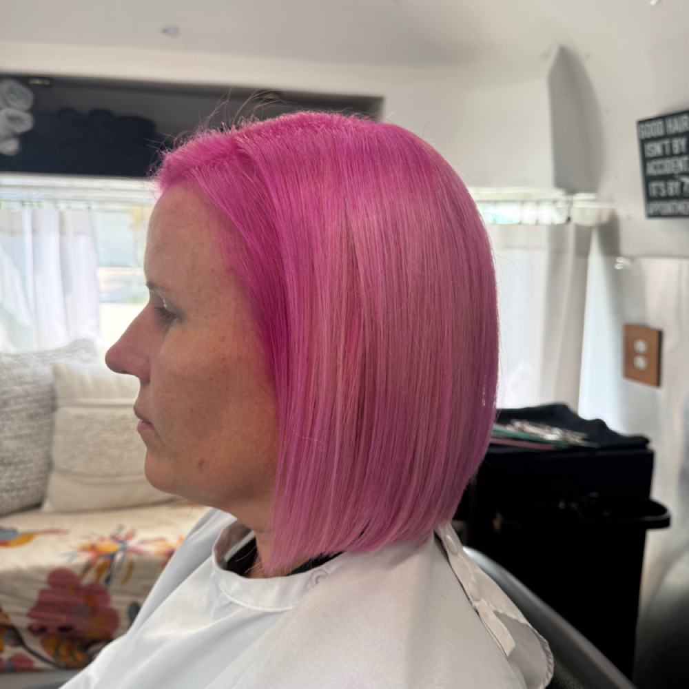 Whole Head Color at Little Wild Beauty in Fort Lauderdale, FL